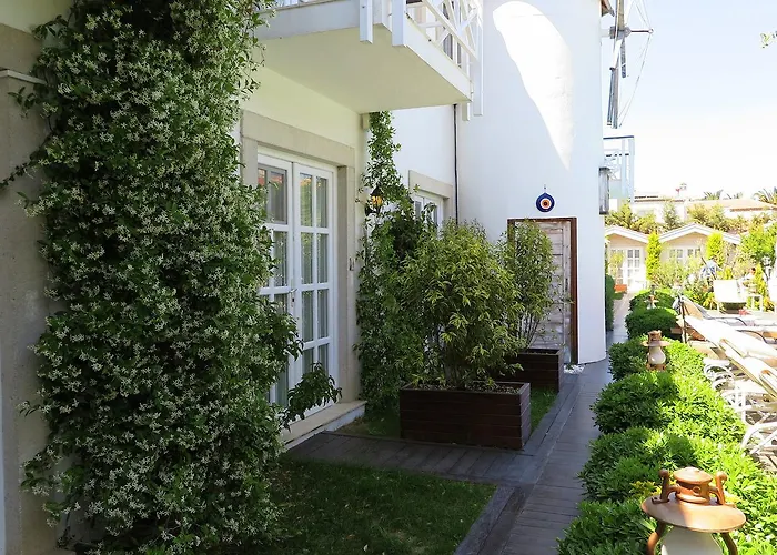 Bay C Алачати